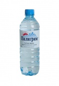 Питьевая вода Пилигрим  0,5л  1/12 с газом