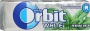 Орбит нежная мята  13,6 г 1/30